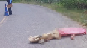 Captura de pantalla 2025-05-14 a la(s) 5.16.43 p. m.